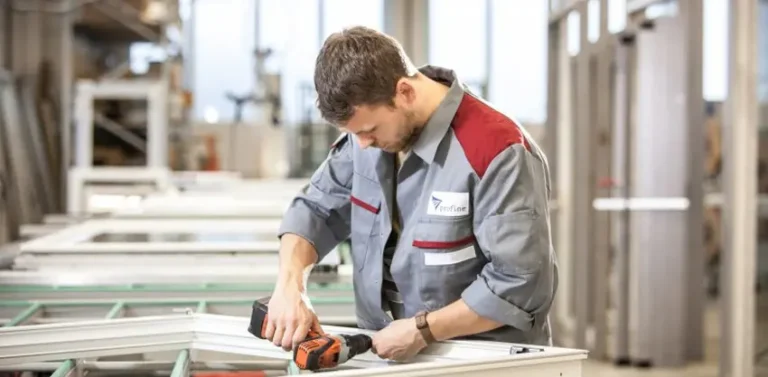 Proceso de fijación